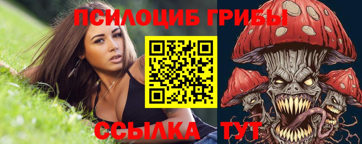 Псилоцибиновые грибы Psilocybe Орёл